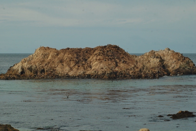 Seal Rock